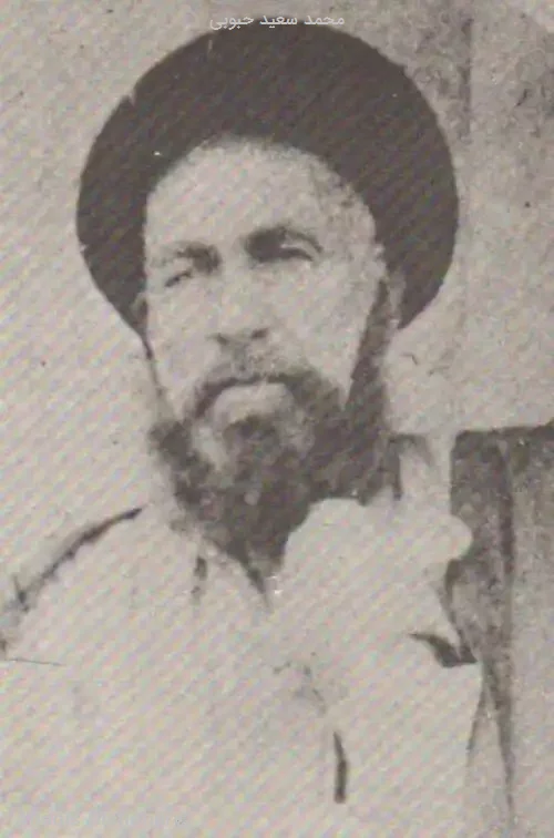 محمد سعید حبوبی